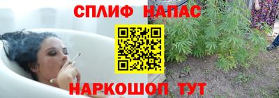 PSILOCYBIN Комсомольск-на-Амуре