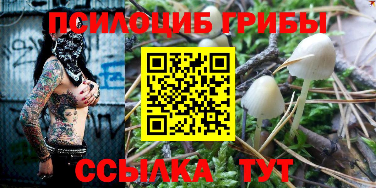 Верхняя Салда  Псилоцибиновые грибы Cubensis  Вход с VPN 