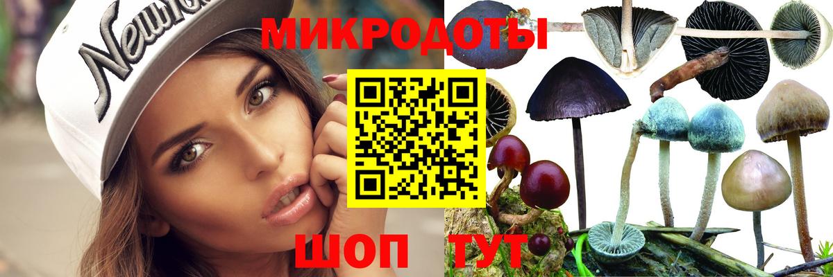 Псилоцибиновые грибы Magic Shrooms Верхняя Салда